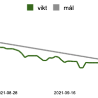 Två månader med Keto