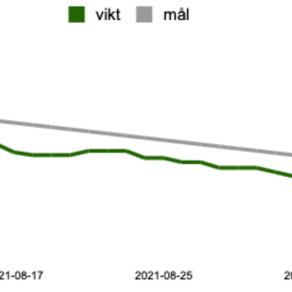 Första månaden med Keto